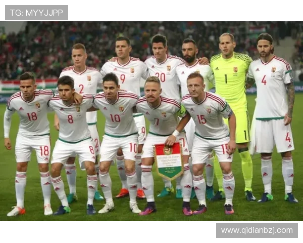 欧洲杯预选赛最新战报：多队提前出线，竞争格局逐渐清晰