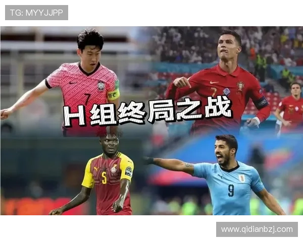 世界杯K组竞争格局深度解读